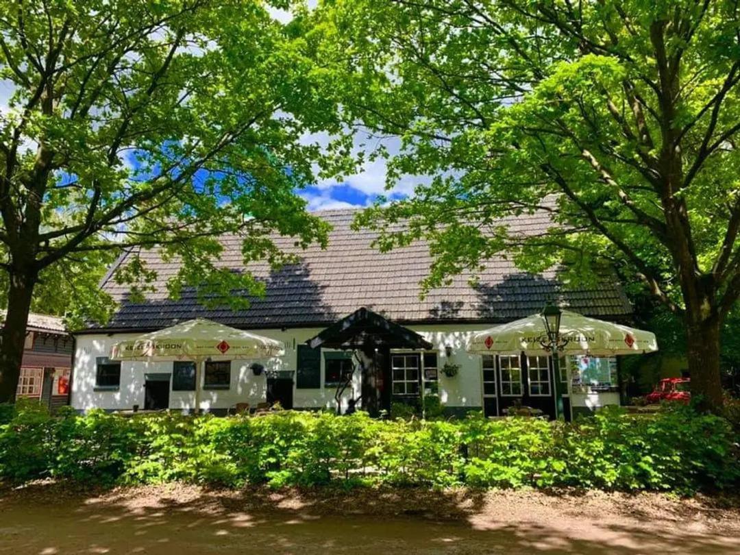 Modern Chalet In De Bossen Van De Veluwe Епе Екстериор снимка